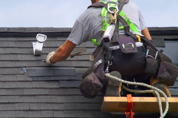 Best Roof Ventilation Installation  in Appleton City, MO
