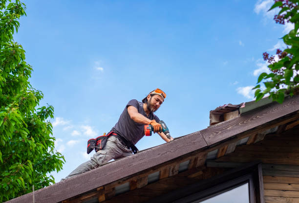 Best Solar Panel Roofing Installation  in Appleton City, MO