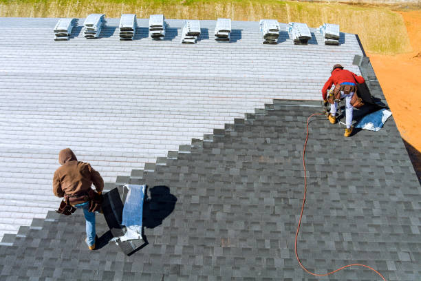 Best Rubber Roofing (EPDM, TPO)  in Appleton City, MO