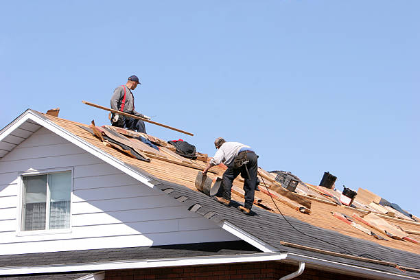 Best Skylight Installation and Repair  in Appleton City, MO