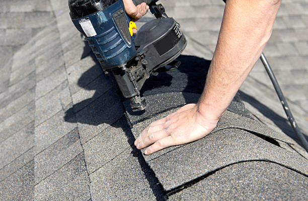 Best Metal Roofing Installation  in Appleton City, MO
